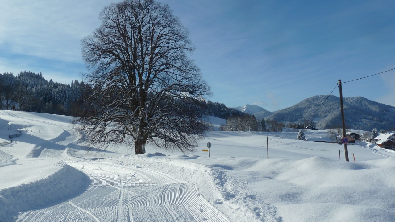 Photo of Others in Sonnen