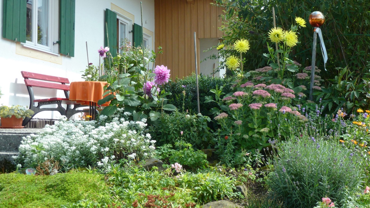 Photo of Outdoor in Sonnen