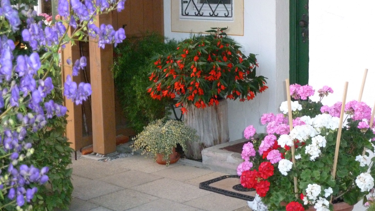 Photo of Outdoor in Sonnen