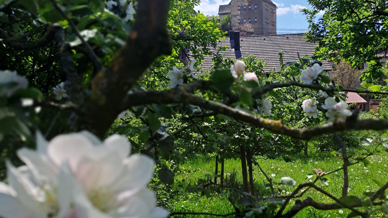 Photo of Outdoor in Hiltpoltstein