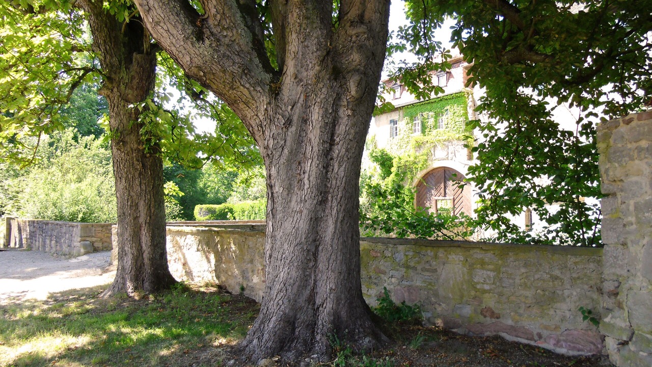 Photo of Outdoor in Unsleben