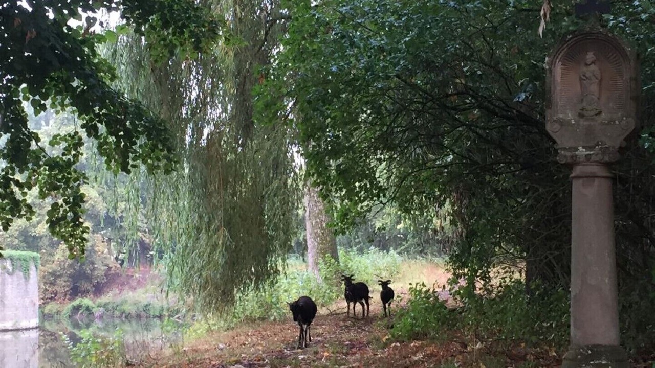 Photo of Outdoor in Unsleben