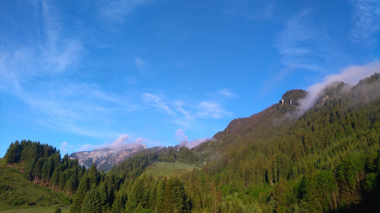 Photo of Others in Lechaschau