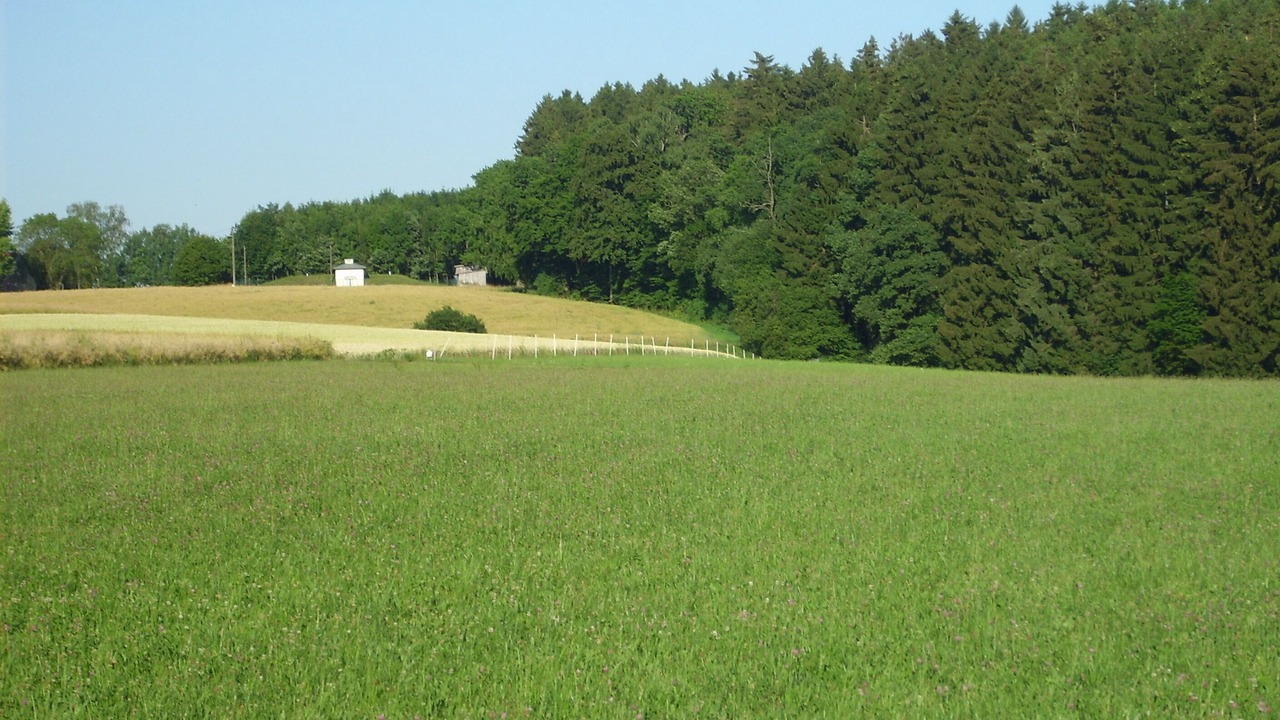 Photo of Others in Oberwaldbach