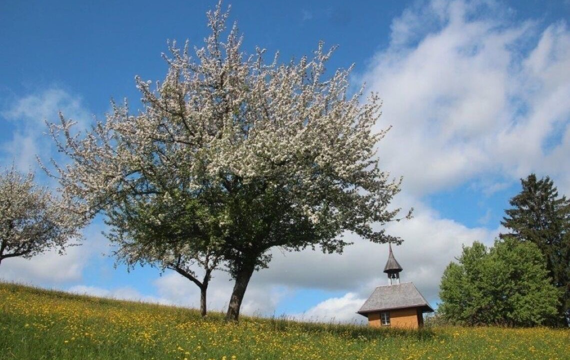 Photo of Outdoor in Frohnd
