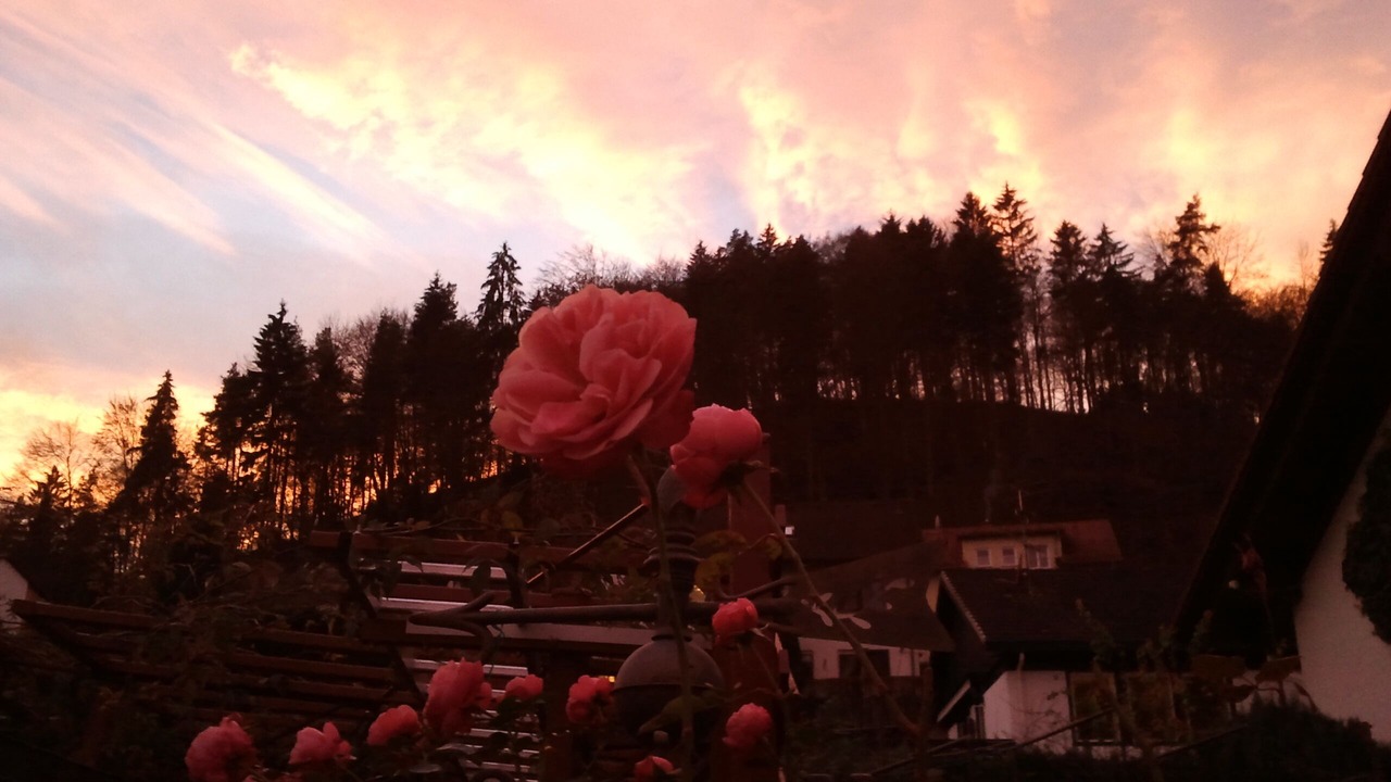 Photo of Outdoor in Immendingen