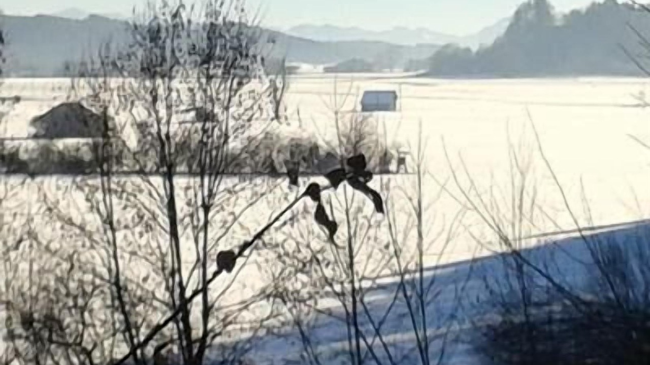 Photo of Outdoor in Friesenried