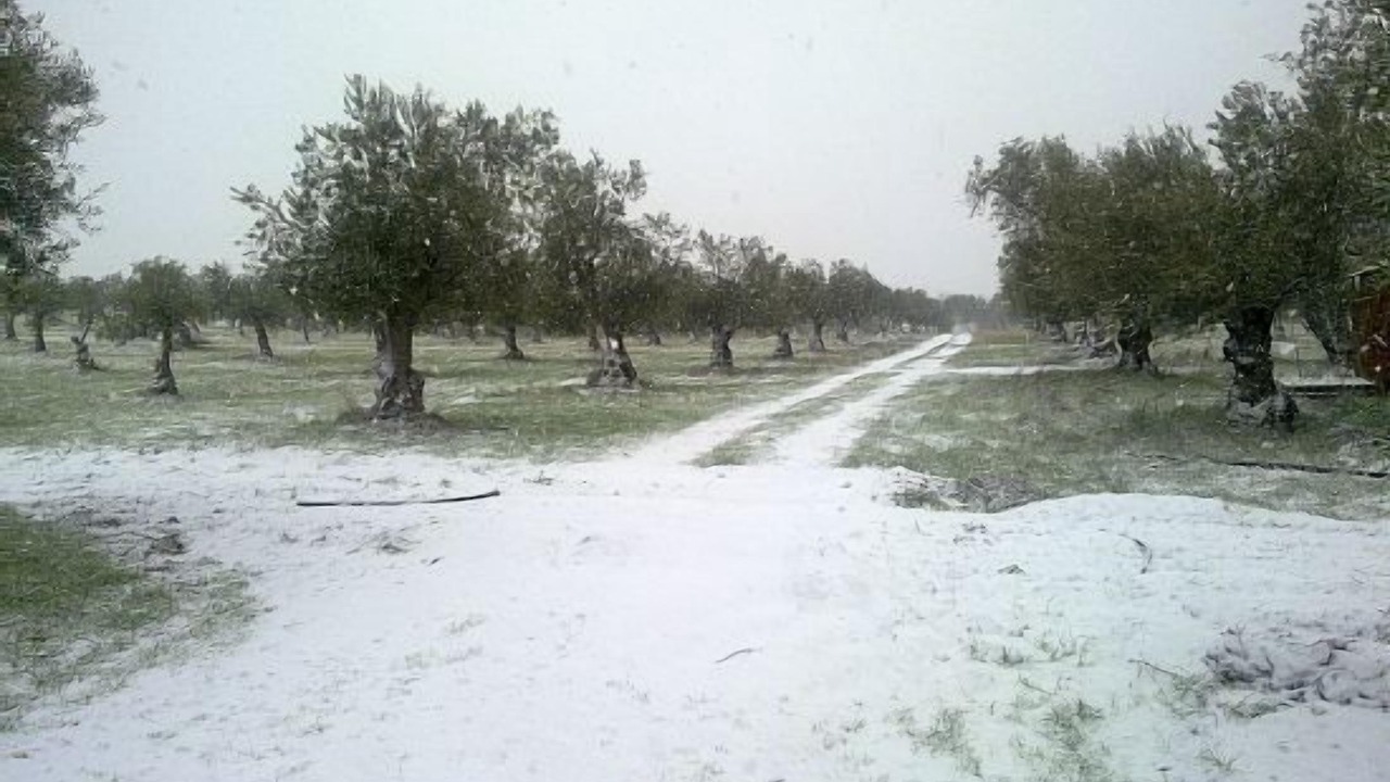 Photo of Others in Fuente de Cantos