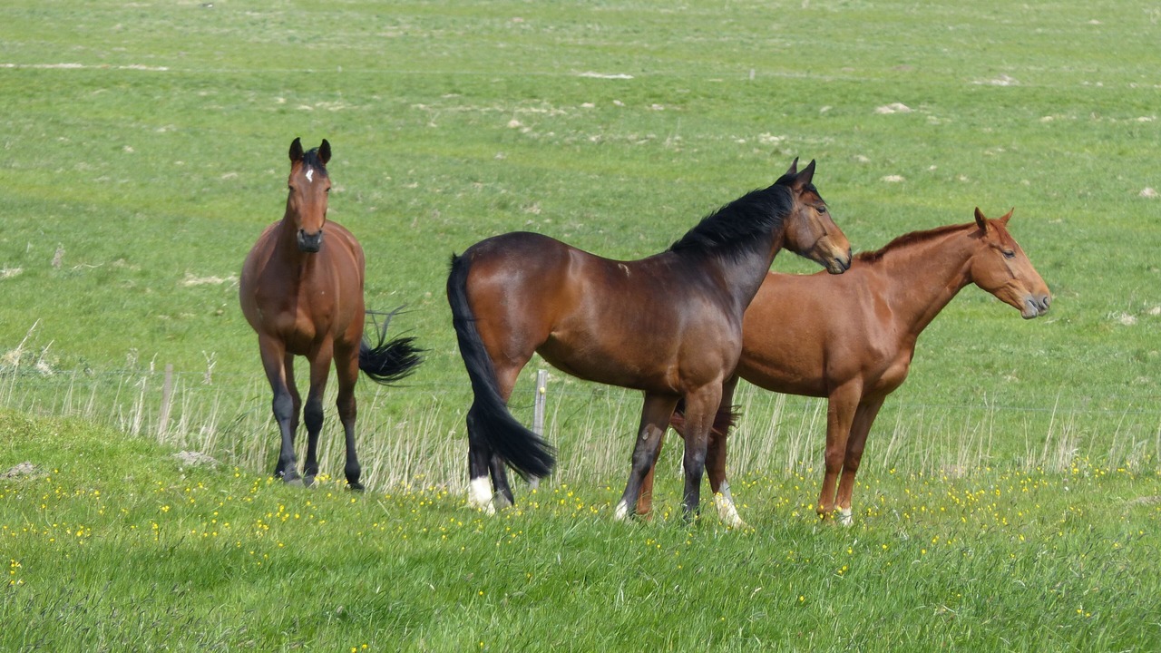 Photo of Others in Hohenkirchen