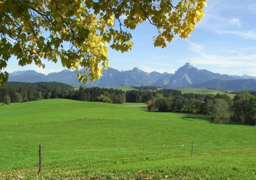 Photo of Others in Dietringen