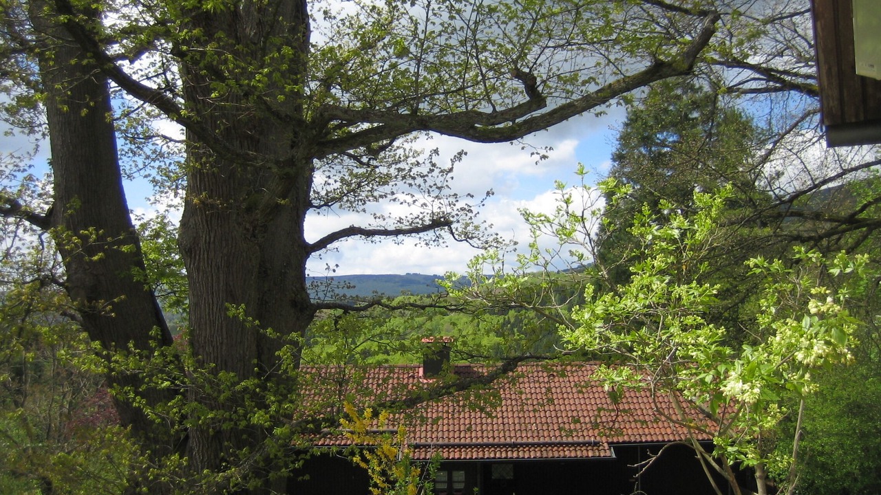 Photo of Outdoor in Kilianshof