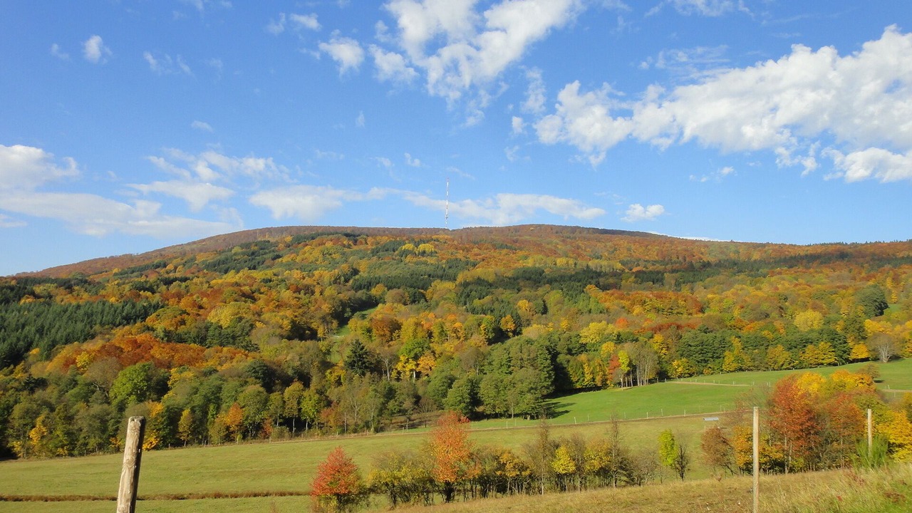 Photo of Outdoor in Kilianshof