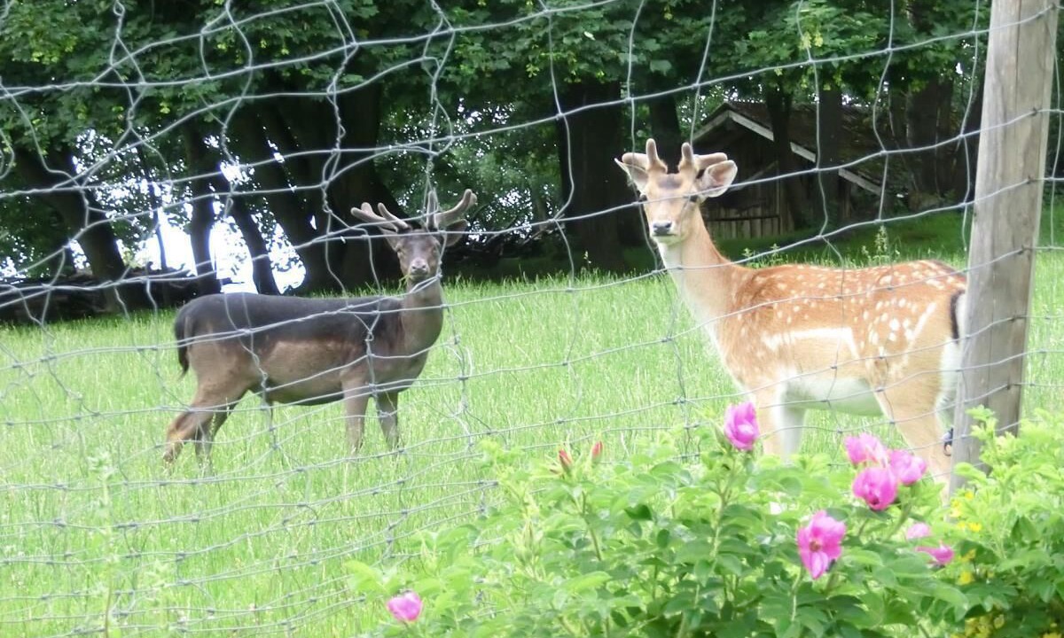 Photo of Outdoor in Waldmuenchen