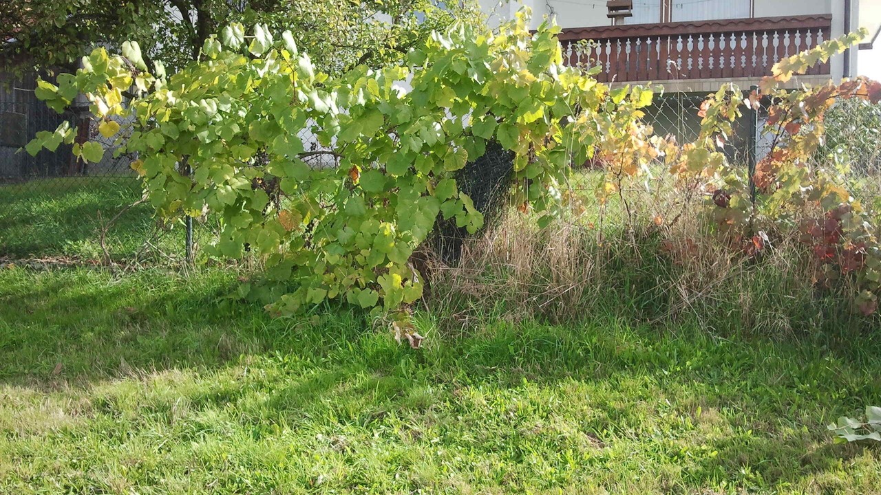 Photo of Outdoor in Hunderdorf