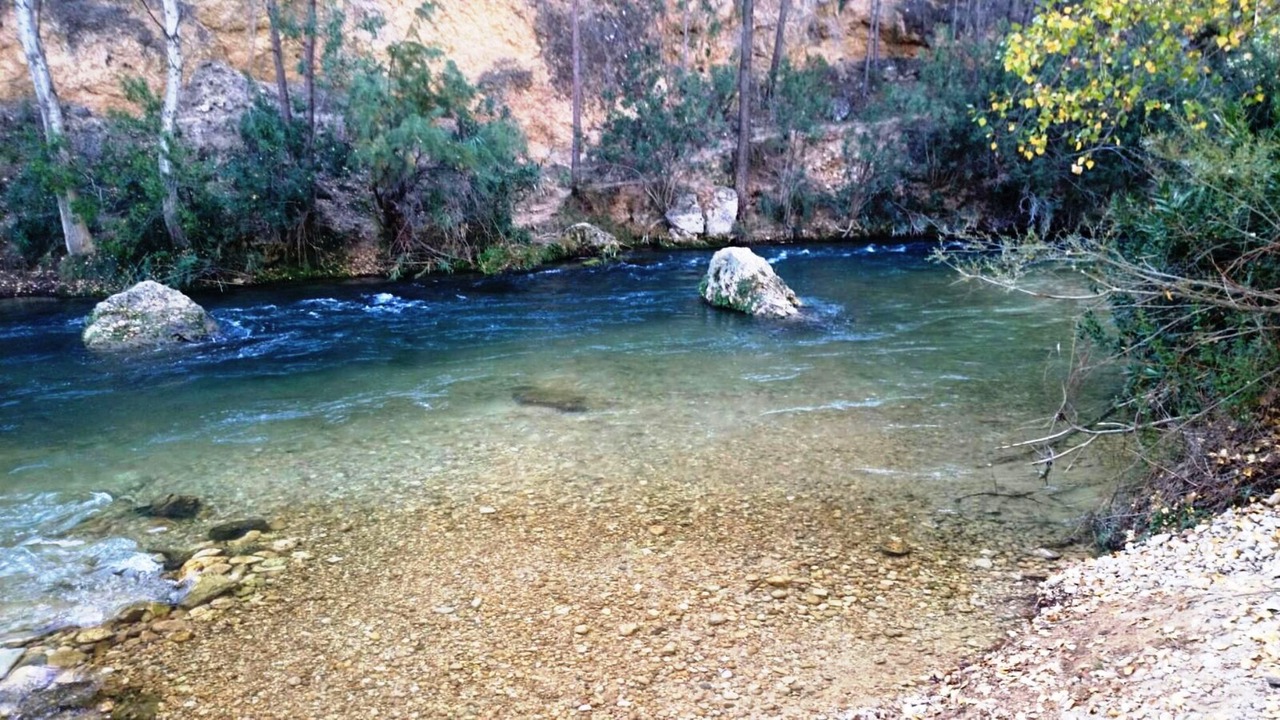 Photo of Others in Elche De La Sierra