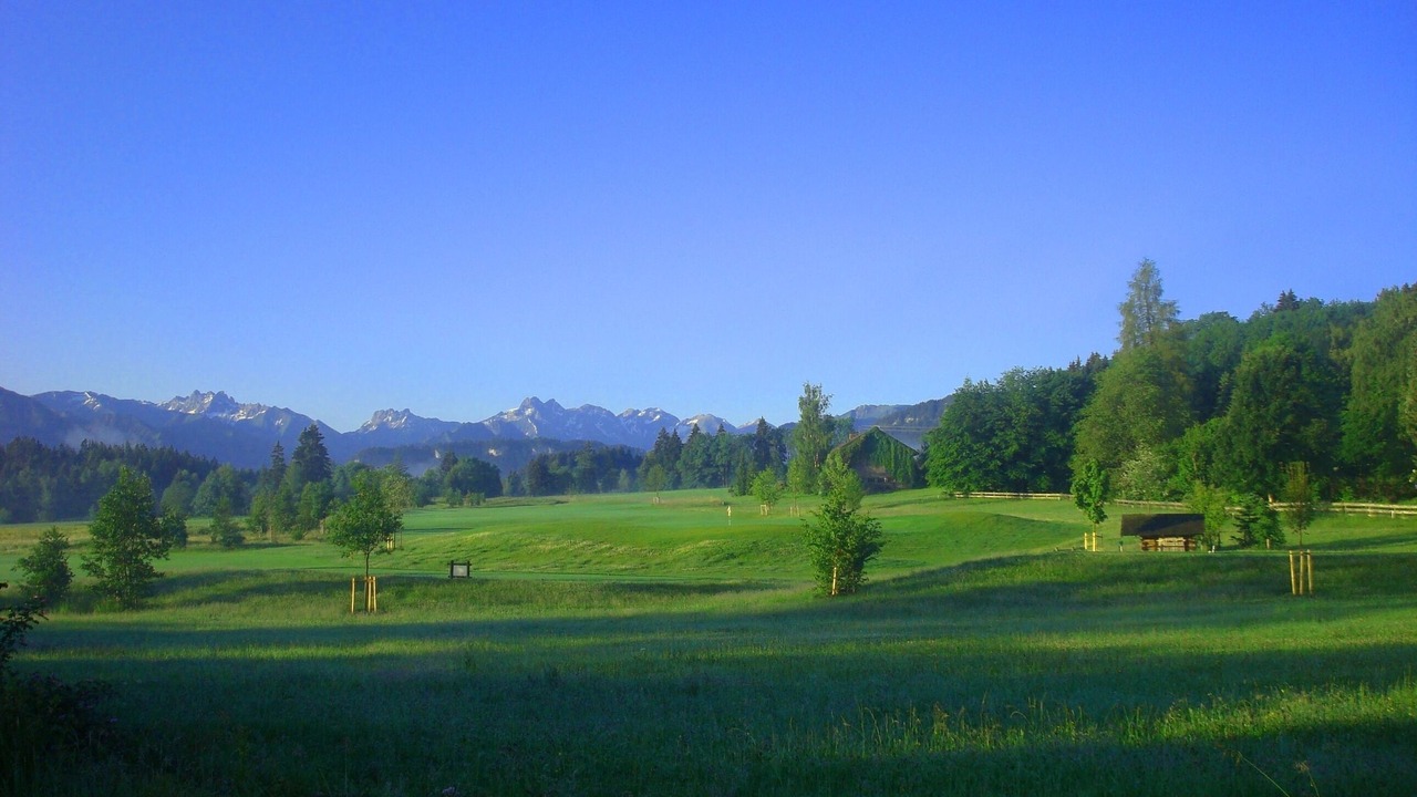 Photo of Others in Ofterschwang