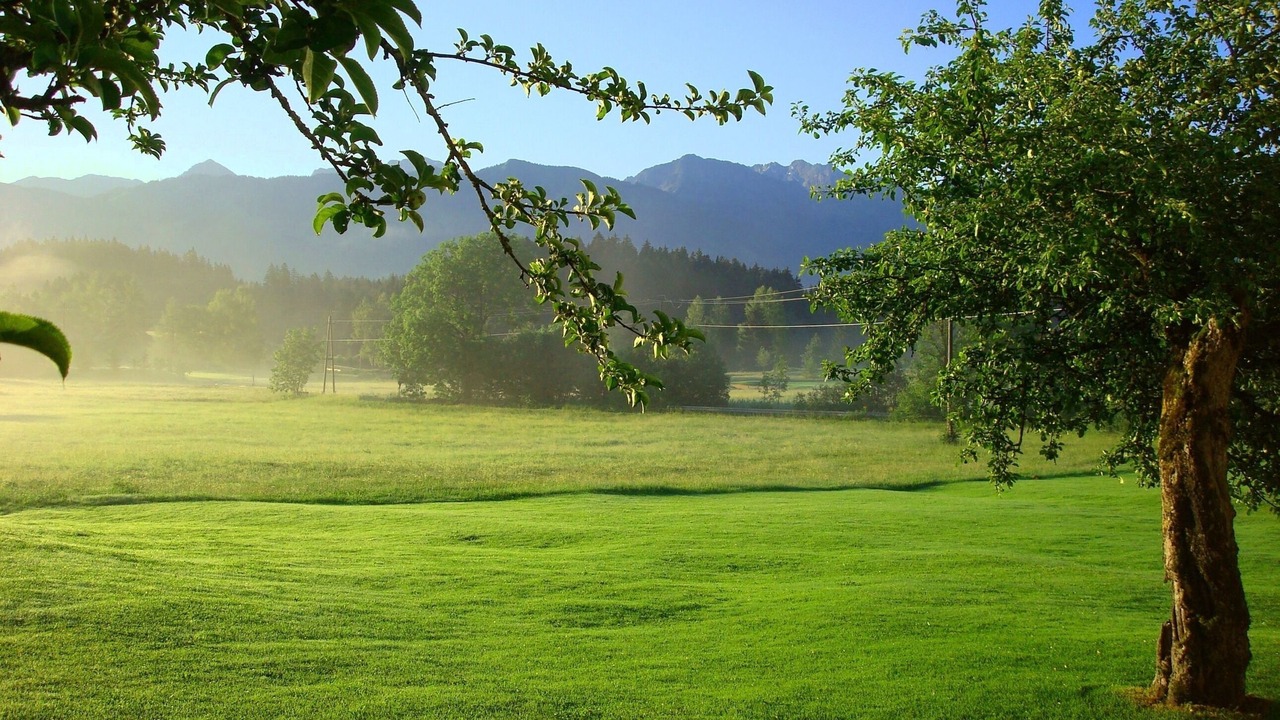 Photo of Others in Ofterschwang