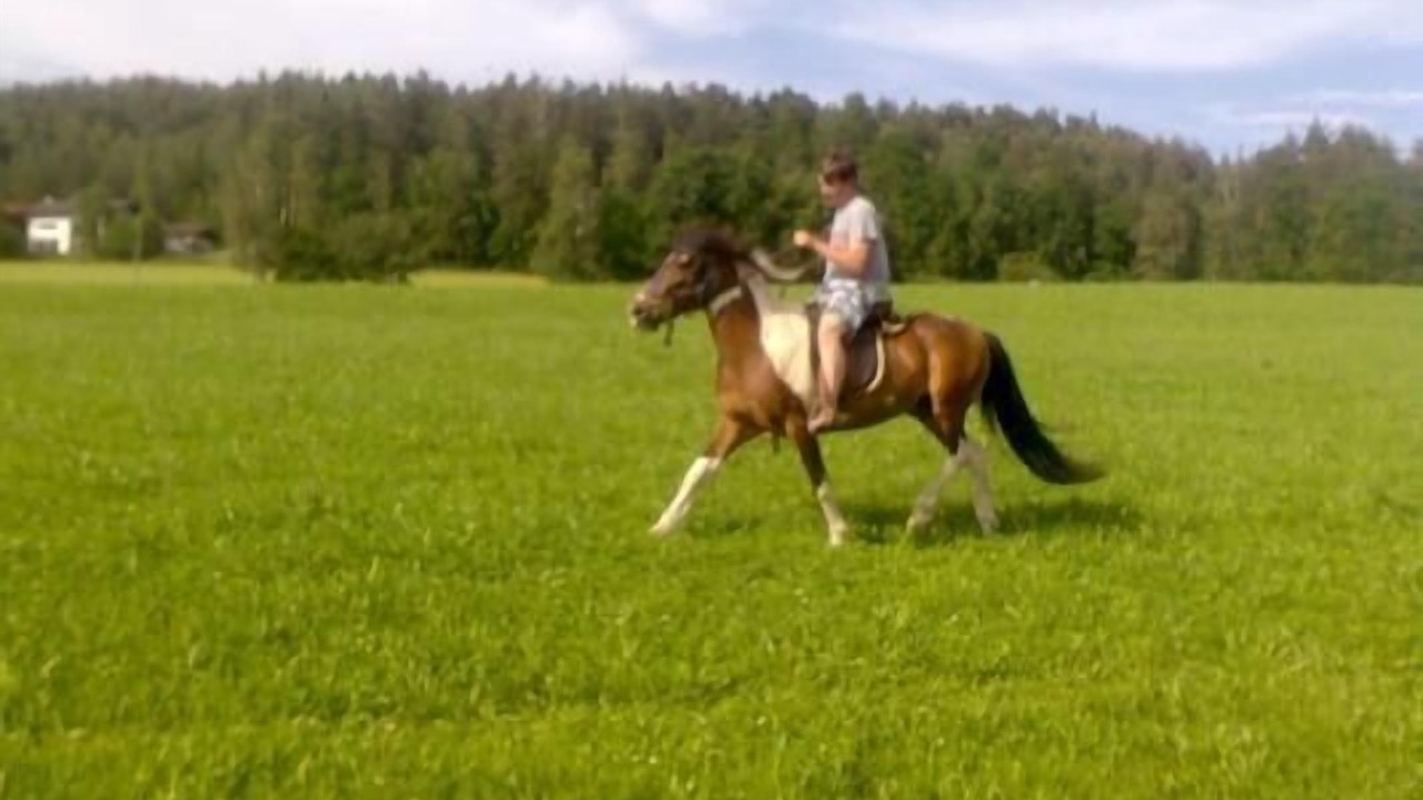 Photo of Outdoor in Zandt