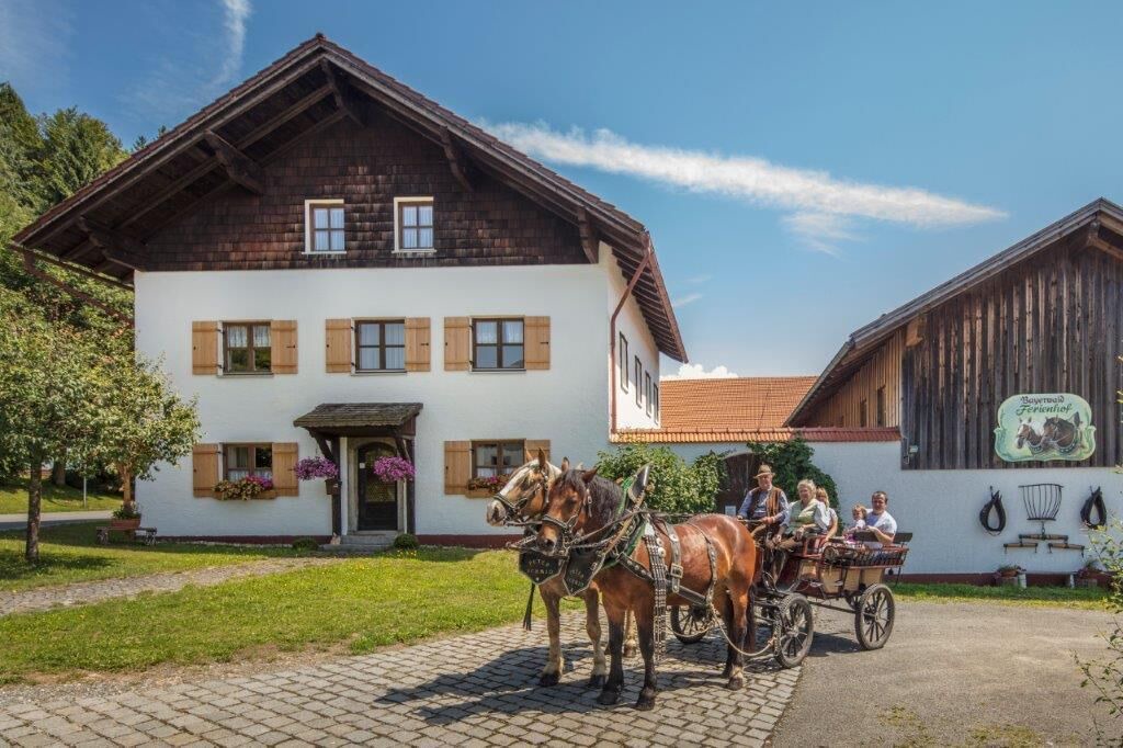 Photo of Outdoor in Eppenschlag