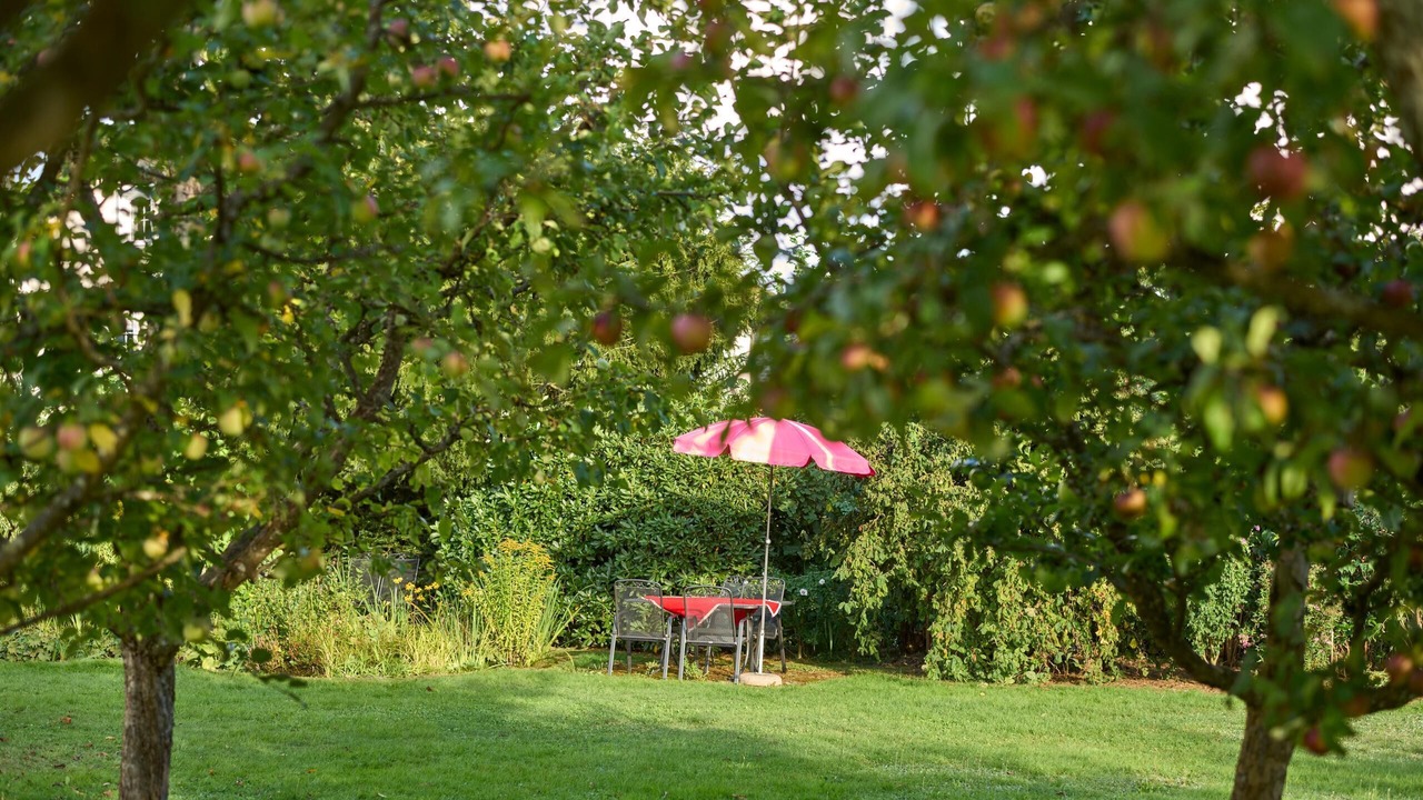 Photo of Outdoor in Lindberg