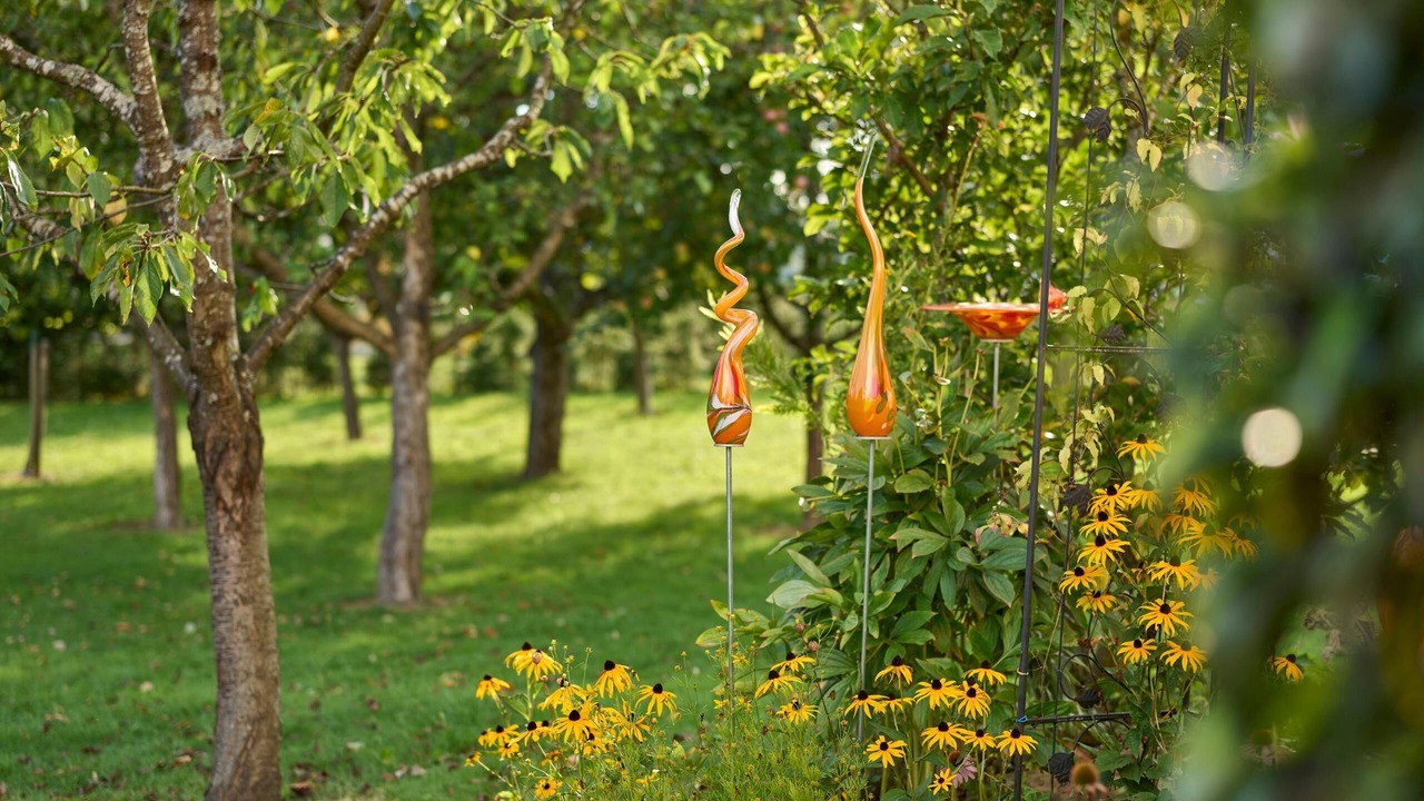 Photo of Outdoor in Lindberg
