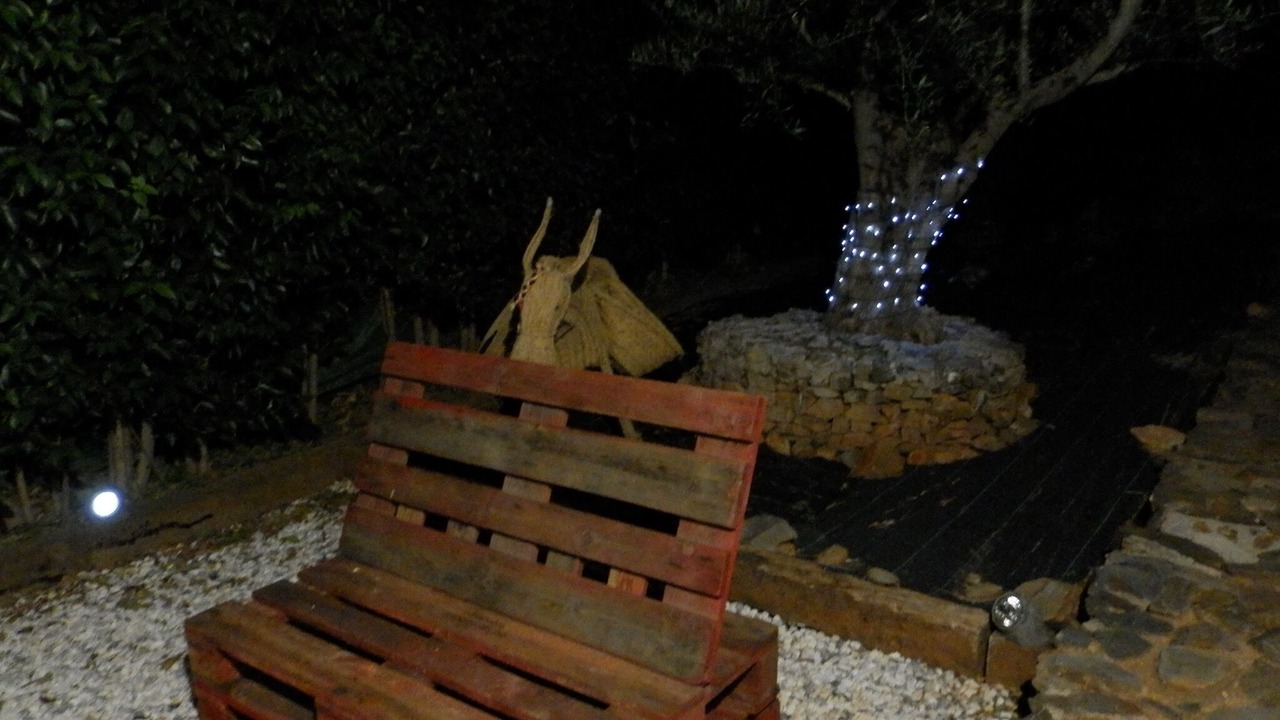 Photo of Outdoor in Margallo