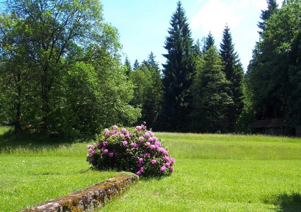 Photo of Outdoor in Waldmuenchen
