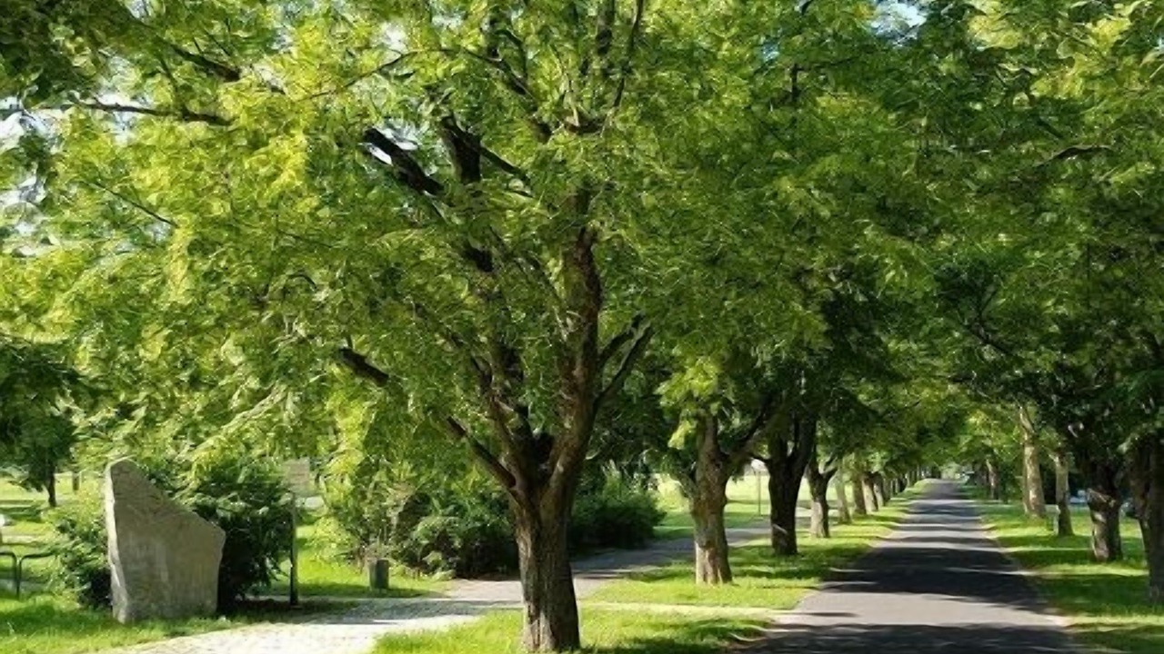 Photo of Outdoor in Sommerach