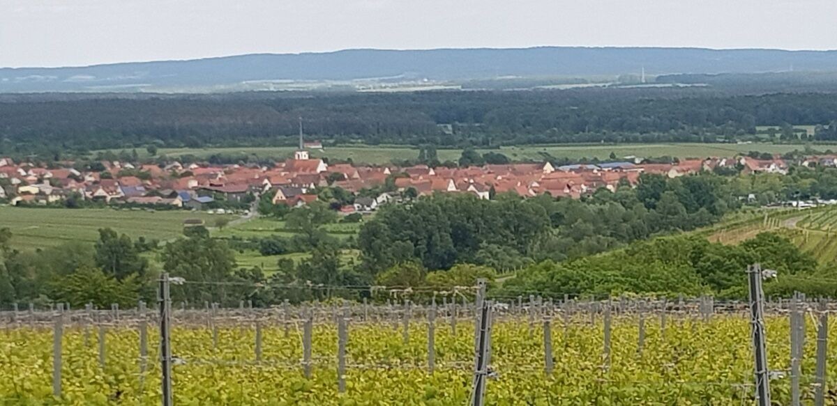 Photo of Outdoor in Sommerach