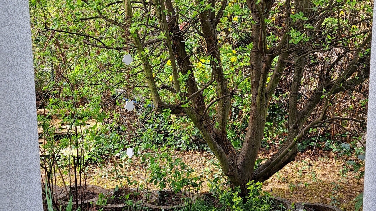 Photo of Outdoor in Volkach