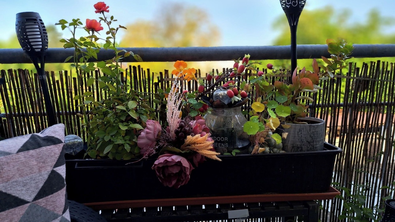 Photo of Outdoor in Volkach