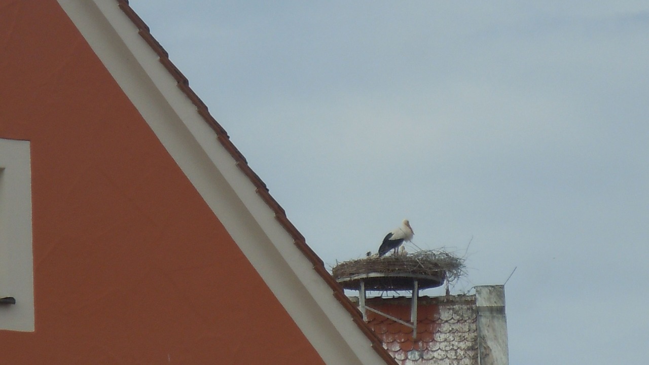 Photo of Outdoor in Merkendorf