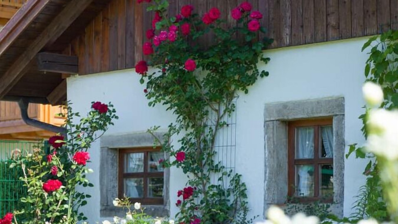 Photo of Outdoor in Sonnen