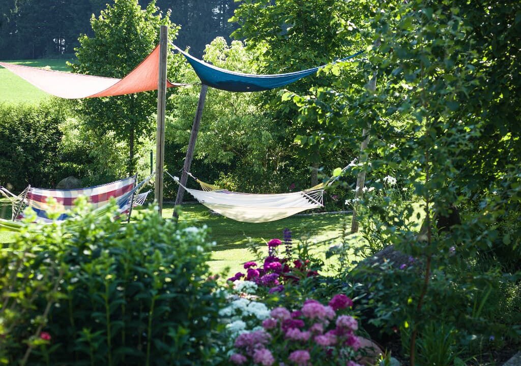 Photo of Outdoor in Sonnen