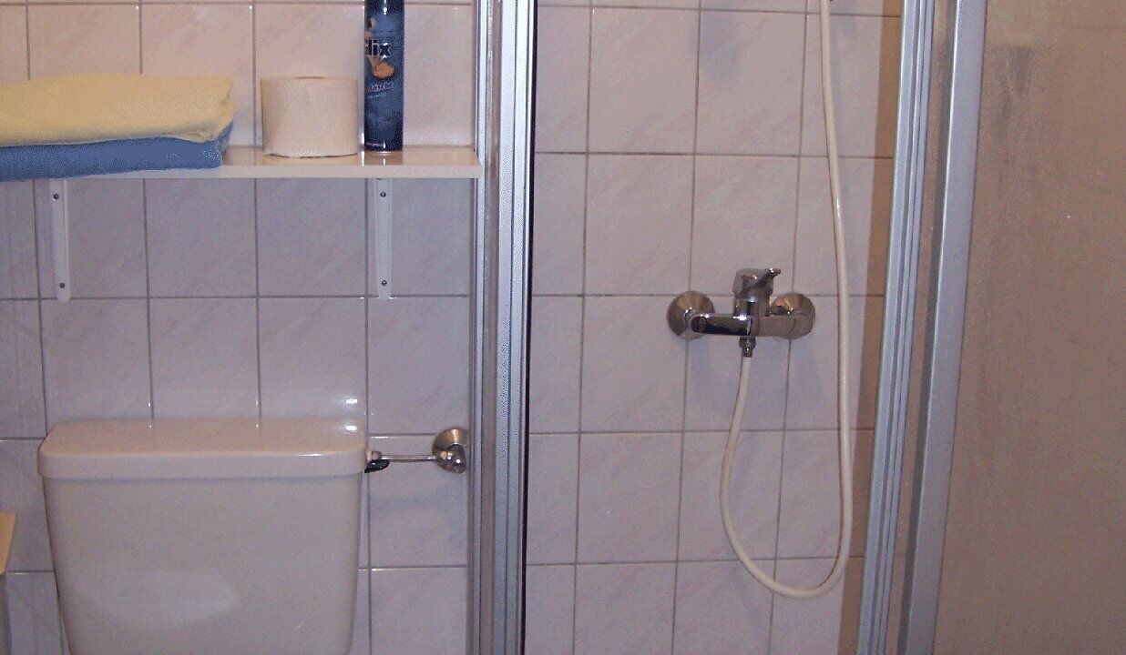 Photo of Bathroom in Flanitz