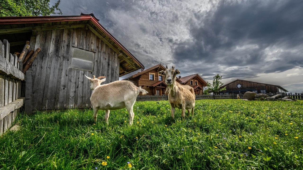 Photo of Outdoor in Barnzell