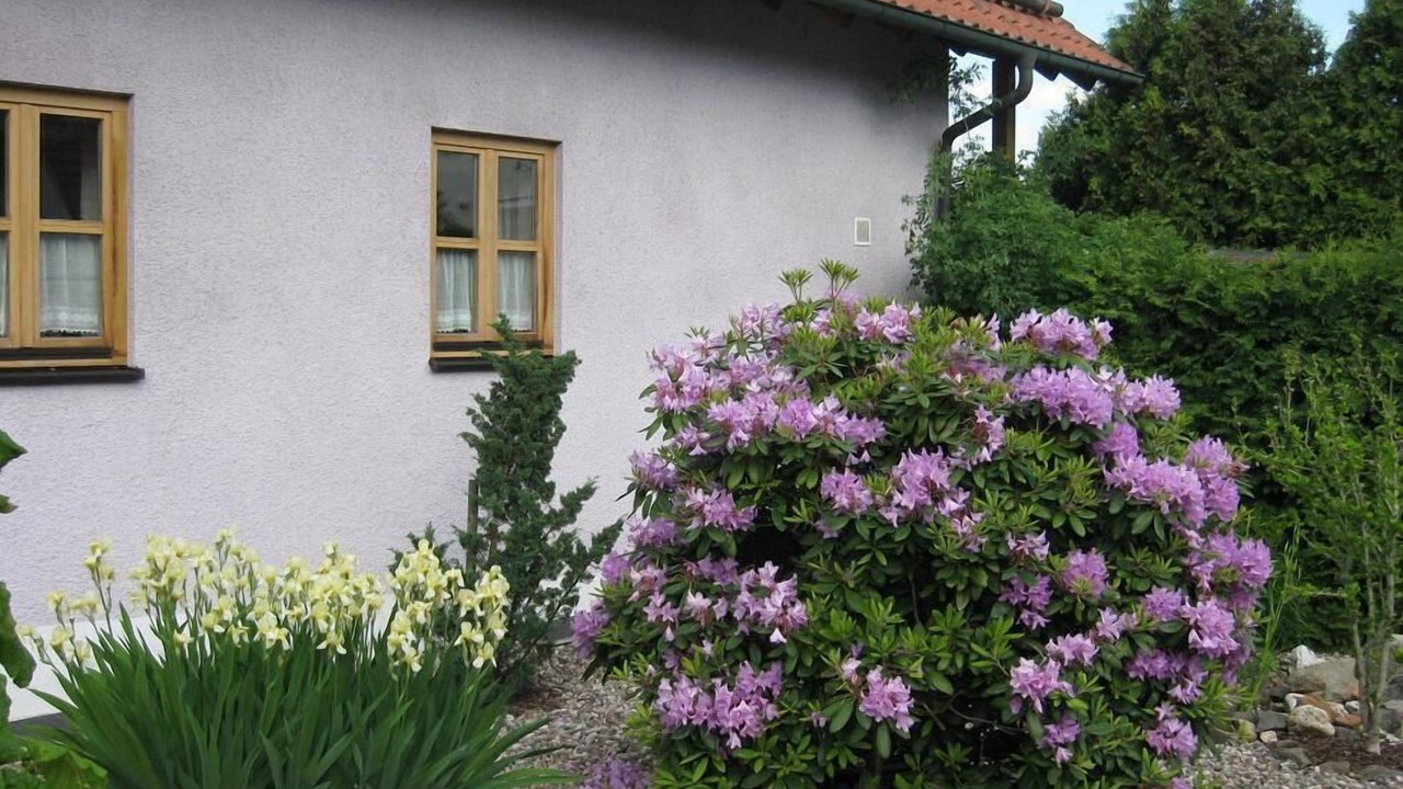 Photo of Outdoor in Stornstein