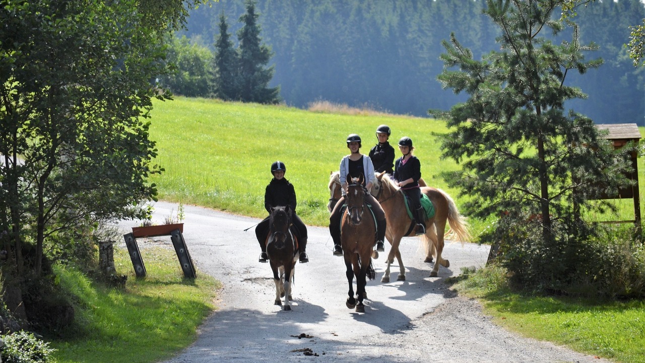 Photo of Others in Weissenstadt