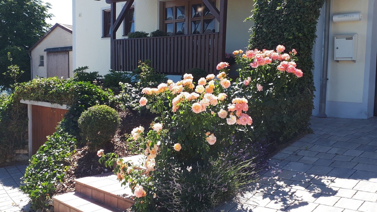 Photo of Outdoor in Sinzing
