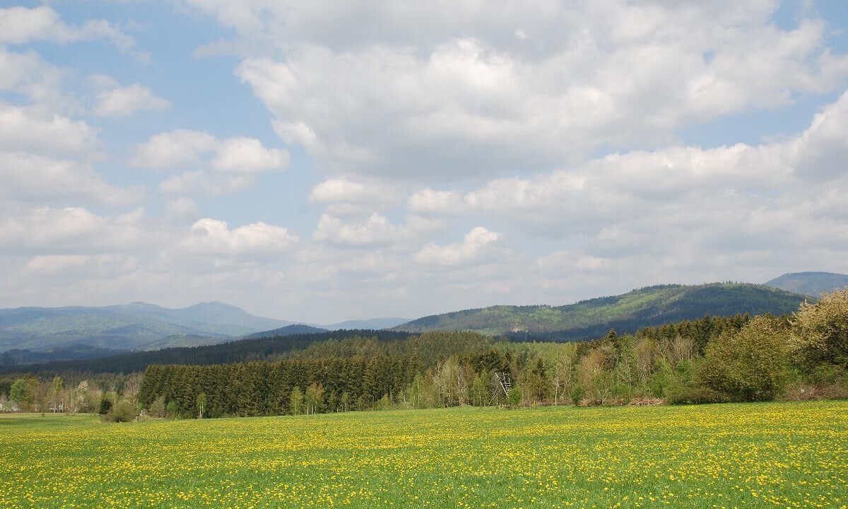 Photo of Outdoor in Frauenau