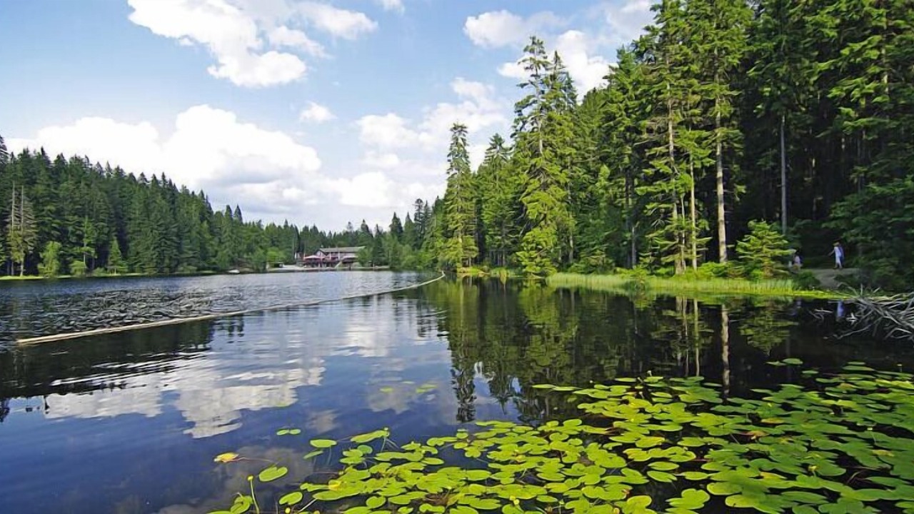 Photo of Outdoor in Lohberg