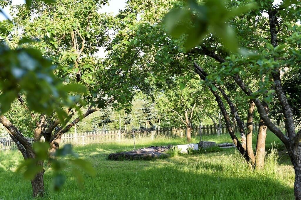 Photo of Outdoor in Traitsching
