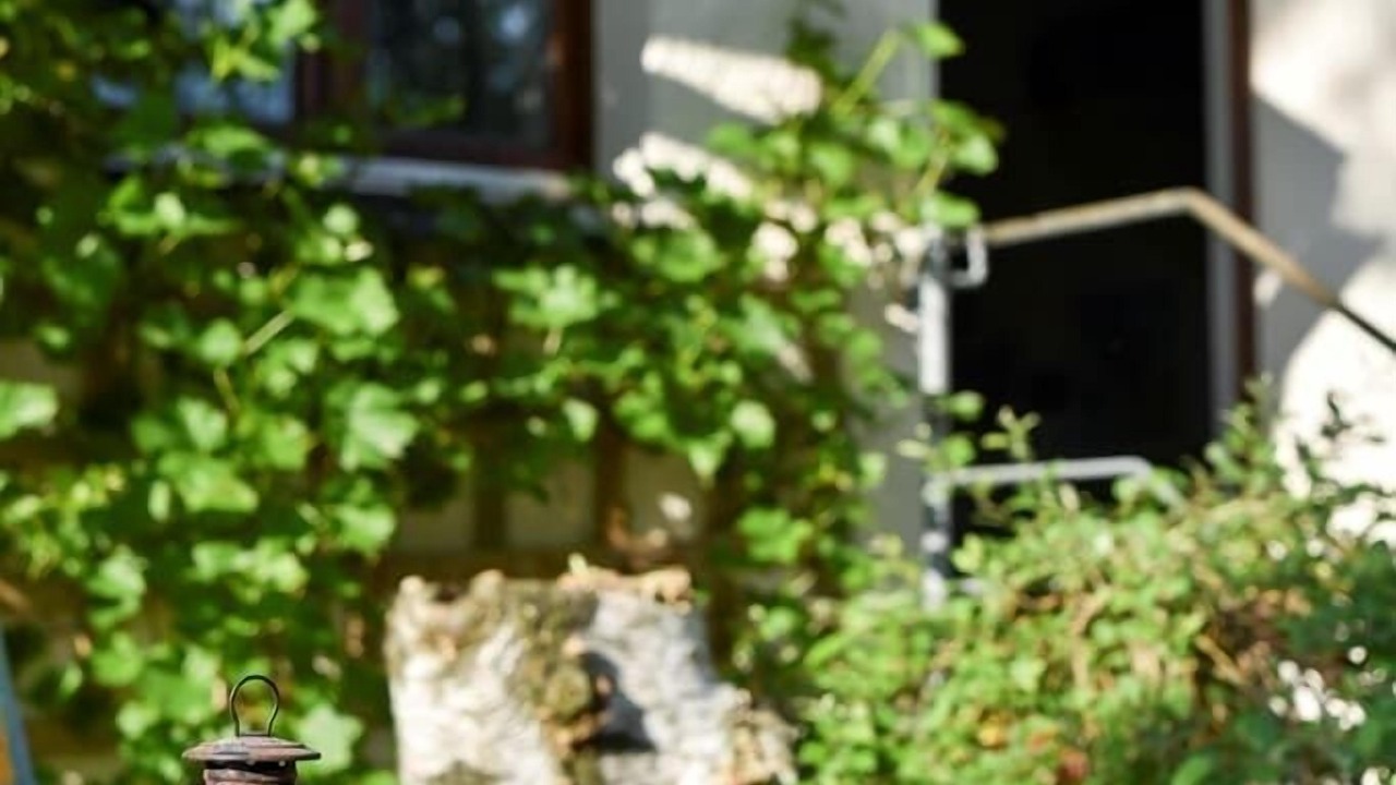 Photo of Outdoor in Traitsching