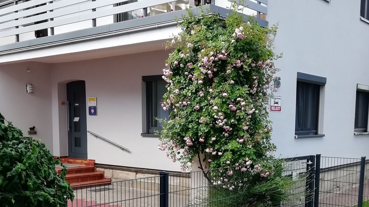 Photo of Outdoor in Michelau