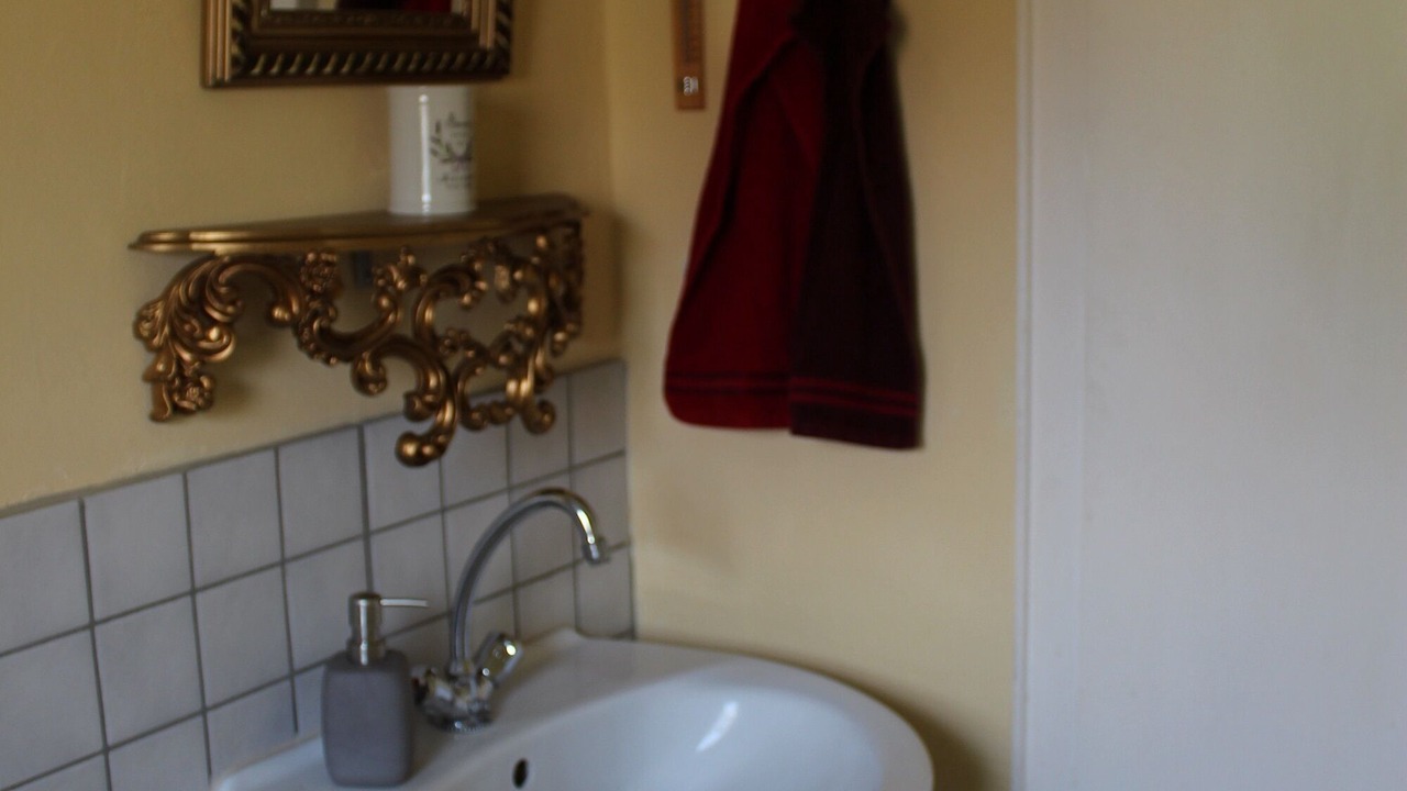 Photo of Bathroom in Theres