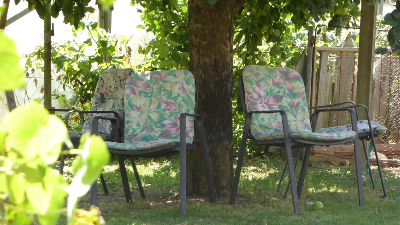 Photo of Outdoor in Haundorf