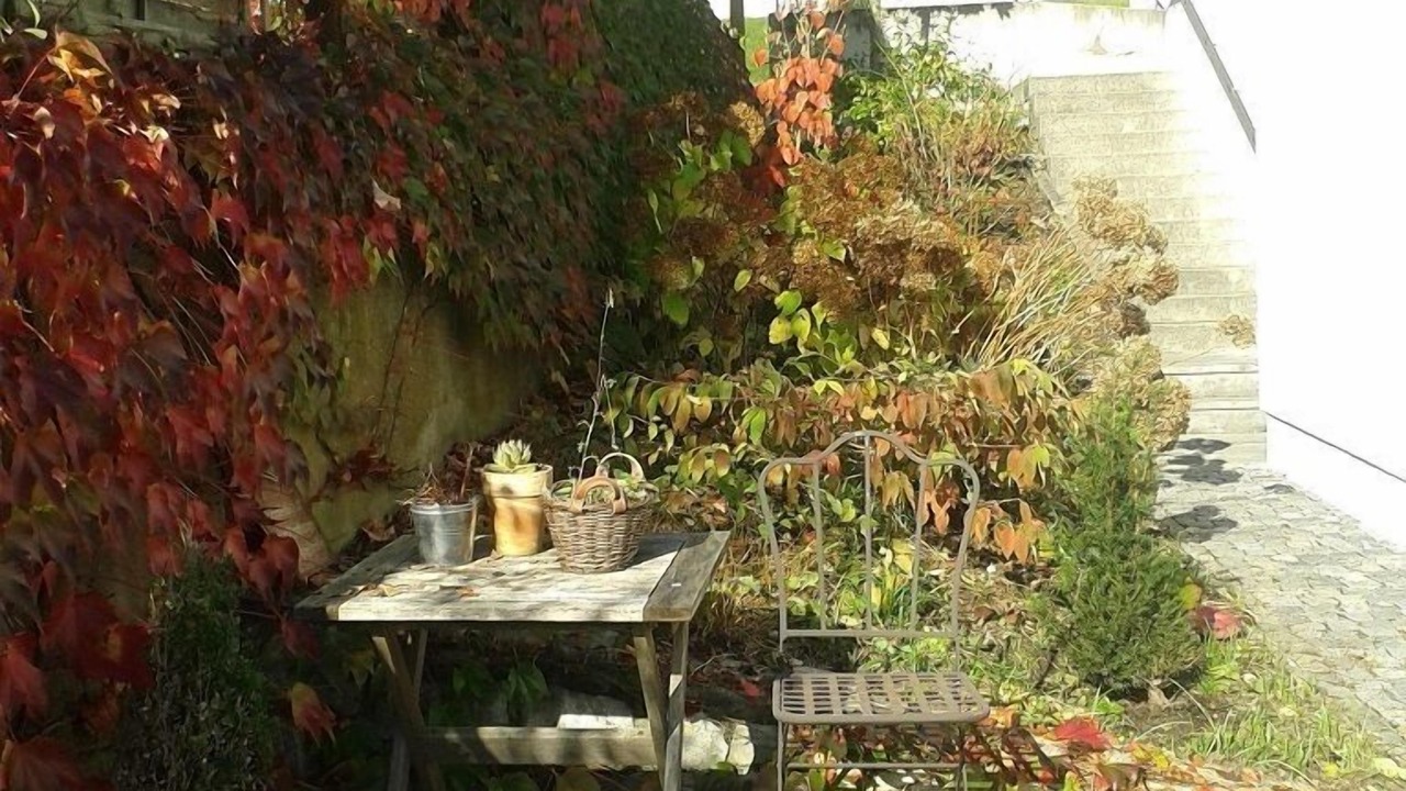 Photo of Patio Balcony in Riedenburg