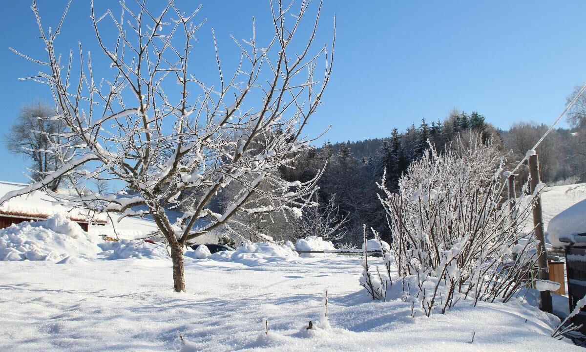 Photo of Outdoor in Barnzell