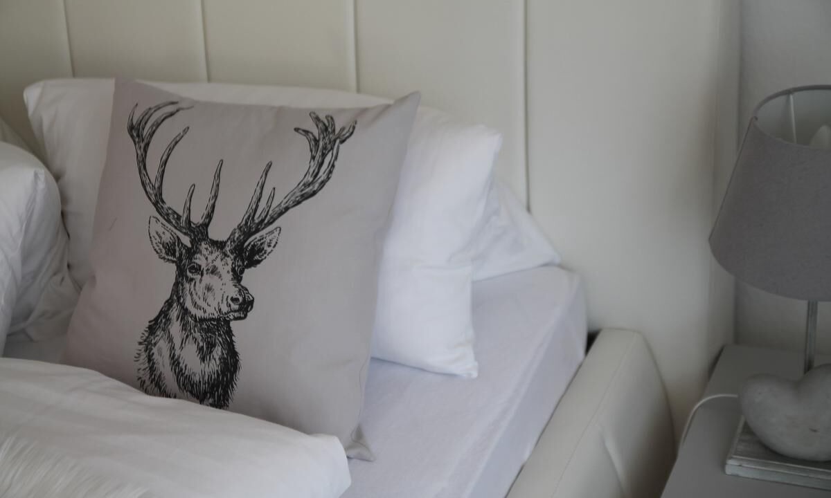 Photo of Bedroom in Lam