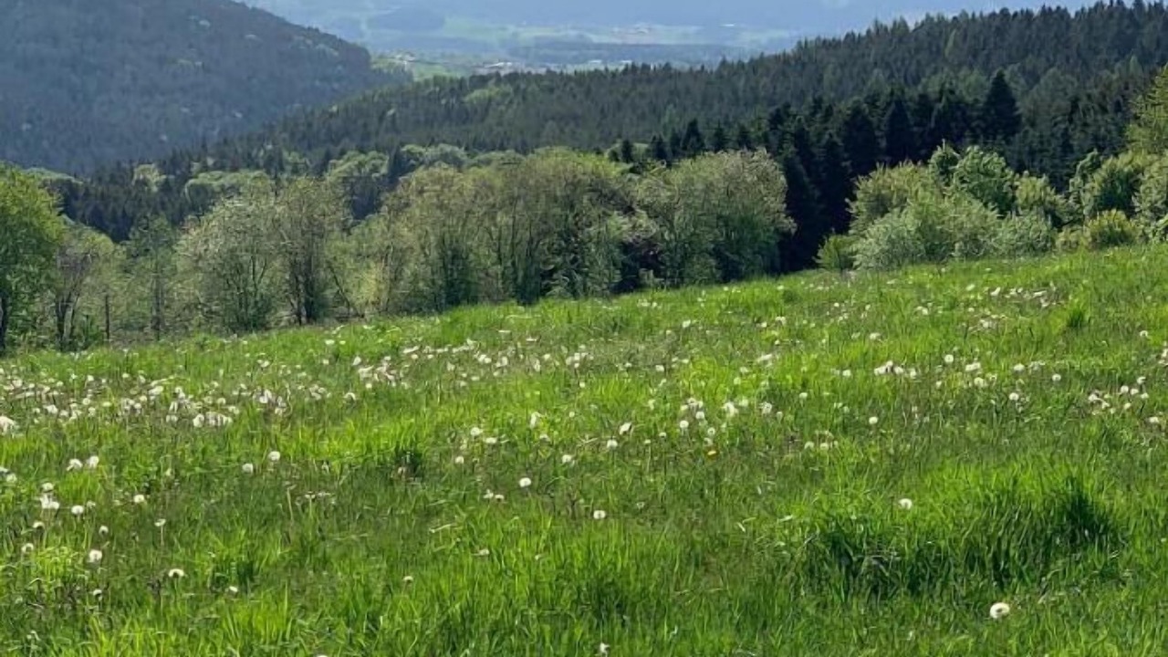 Photo of Outdoor in Traitsching